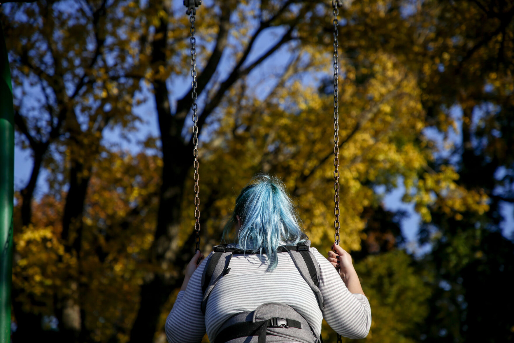 Fall Foliage